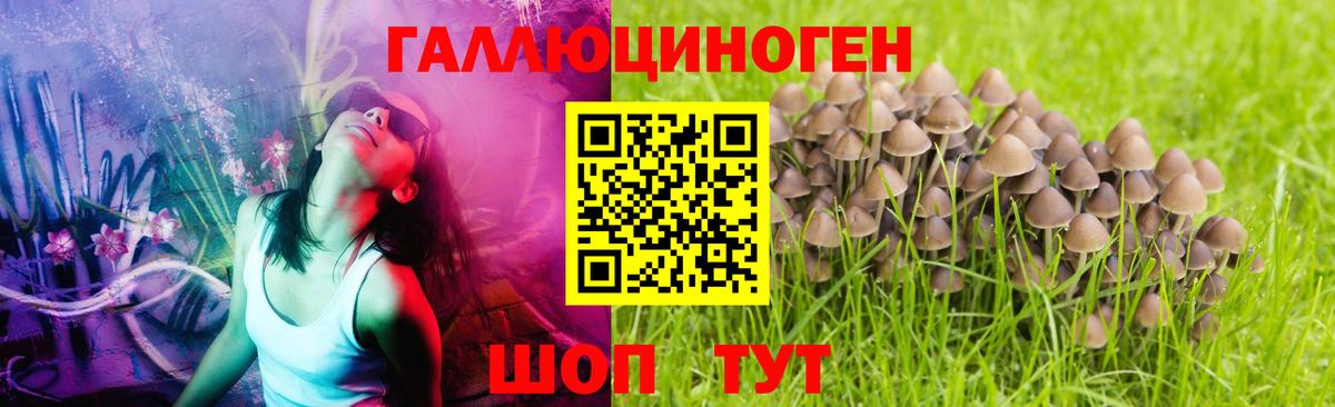 Галлюциногенные грибы Magic Shrooms  Псилоцибиновые грибы прущие грибы  Кузнецк  Вход с VPN 